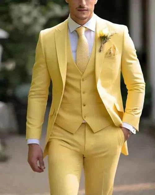 Ensemble Habillé Trois Pièces Homme